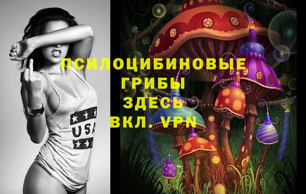 стаф Надым